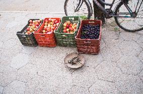 Korce (Korca) town, street fruits selling, weighting