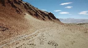 Dry lake Tso Kar, road, cars, mountains, Himalayas, Ladakh, Kashmir, India