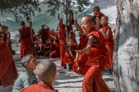 Debating young buddhist monks, monastery, Himalayas, Ladakh, Kashmir, India