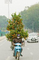 Hanoi