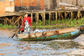 Mekong River Delta