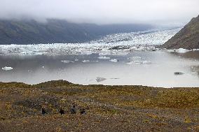 Iceland landscape