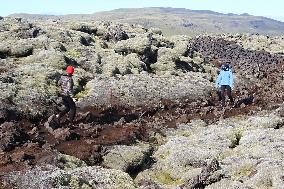 Iceland landscape