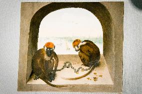 exhibition Pieter Bruegel the Elder: Once in a lifetime, Two Monkeys, replica