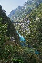 Bridge over the Piva River canyon