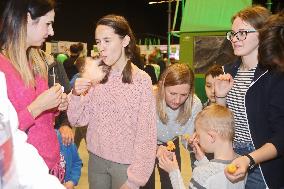 Silesian Science Festival Katowice 2018, liquid nitrogen, frozen frozen crisps, tasting, children