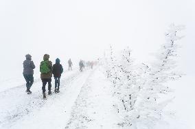 Traditional meeting of Czechs and Slovaks, Velka Javorina