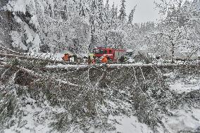 Road leading up to the Bozi Dar, snowfall, wind, snow, falling trees, firemen