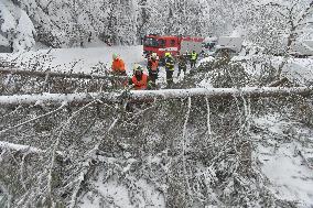 Road leading up to the Bozi Dar, snowfall, wind, snow, falling trees, firemen