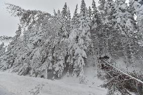 Road leading up to the Bozi Dar, snowfall, wind, snow, falling trees, firemen