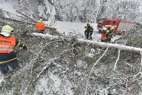 Road leading up to the Bozi Dar, snowfall, wind, snow, falling trees, firemen