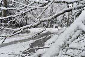 Road leading up to the Jetrichovice, snowfall, wind, snow, falling trees, branches broken