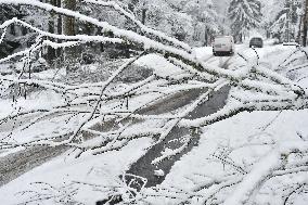 Road leading up to the Jetrichovice, snowfall, wind, snow, falling trees, branches broken