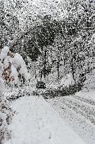 Road leading up to the Jetrichovice, snowfall, wind, snow, falling trees, firemen