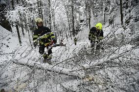 Road leading up to the Jetrichovice, snowfall, wind, snow, falling trees, firemen