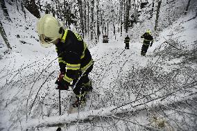 Road leading up to the Jetrichovice, snowfall, wind, snow, falling trees, firemen