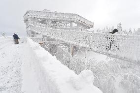 Valaska panoramic trail, skywalk, snow, footbridge