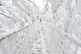 Valaska panoramic trail, skywalk, snow, footbridge