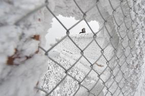 Valaska panoramic trail, skywalk, snow