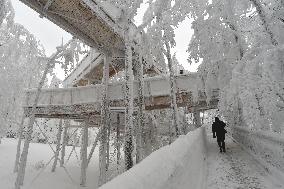 Valaska panoramic trail, skywalk, snow, footbridge