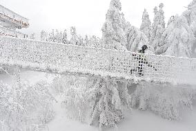 Valaska panoramic trail, skywalk, snow, footbridge