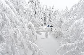 Valaska panoramic trail, skywalk, snow, footbridge