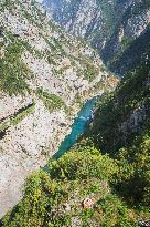 Bridge over the Piva River canyon