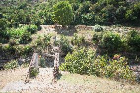 Viosa River, damaged, ruined rope bridge