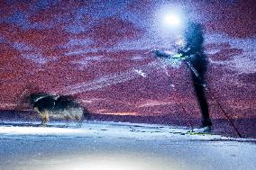 cross-country skier, skiing