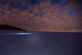 cross-country skier, skiing