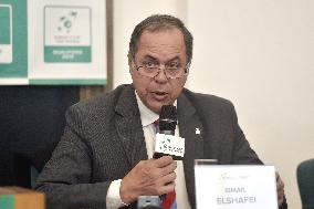 Ismail El Shafei