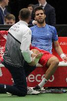 Michal Novotny, Jiri Vesely