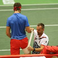 Jiri Vesely, Michal Novotny