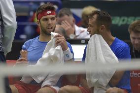 Jiri Vesely, Lukas Rosol