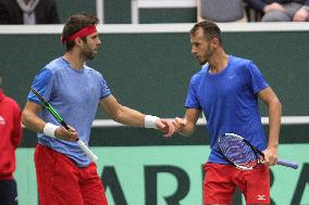 Jiri Vesely, Lukas Rosol