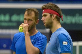 Lukas Rosol, Jiri Vesely