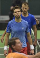 Jiri Vesely, Lukas Rosol