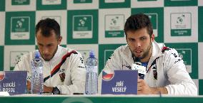 Lukas Rosol, Jiri Vesely