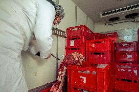 check of meat from Poland