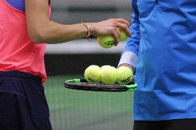 tennis balls