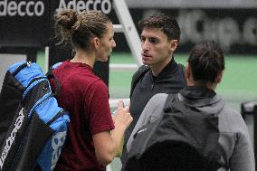 Karolina Pliskova, Michal Hrdlicka