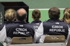 Fed Cup, Czech Republic vs Romania, Czech team