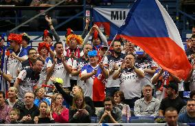 Fed Cup, Czech Republic vs Romania, Czech fans, flag