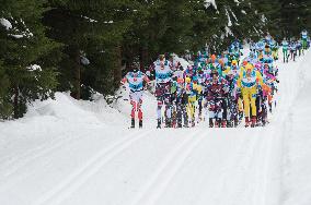 Jizerska 50km ski race, cross country skiing