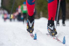 Jizerska 50km ski race, cross country skiing