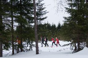 Jizerska 50km ski race, cross country skiing