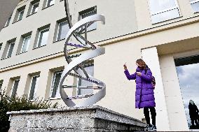 statue of DNA model