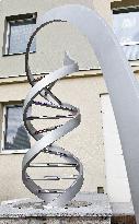 statue of DNA model