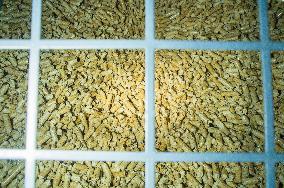 compressed wood chips and sawdust, wood pellet fuel, pellets, biomass, heating