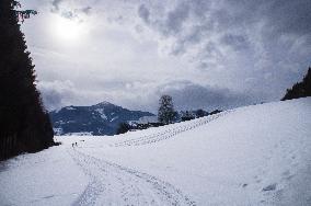 winter, snow, cross country skiing trails, langlaufen